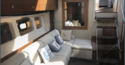 LANCHA SEA RAY SUNDANCER 51 PÉS