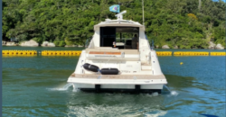 LANCHA SEA RAY SUNDANCER 51 PÉS