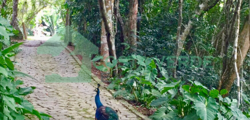 Princess Island – Angra dos Reis