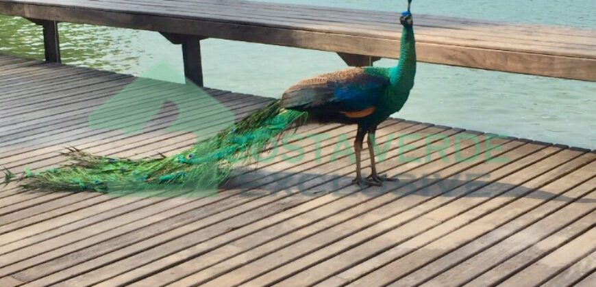 Princess Island – Angra dos Reis