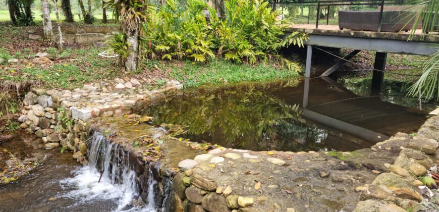 Magnífica Casa no Frade Green