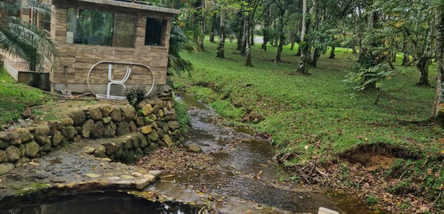 Magnífica Casa no Frade Green